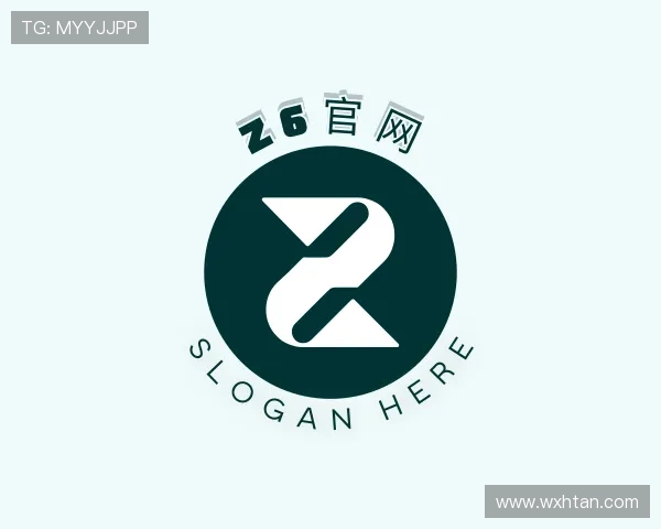 解读Z6官网
